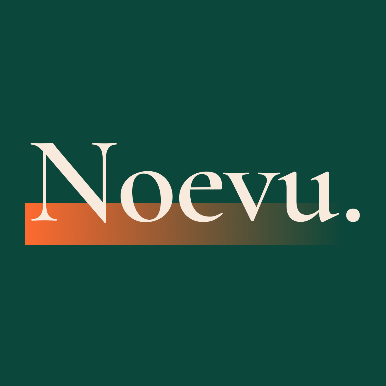 Noevu – Schweizer KMU Webseiten Agentur – Service, Beratung, Entwicklung